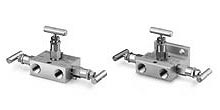 3 Valve Manifolds
